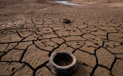 La sequía y la escasez de agua ponen en peligro a Doñana y a las cosechas de toda Andalucía