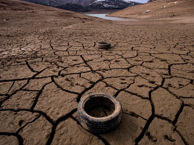 La sequía y la escasez de agua ponen en peligro a Doñana y a las cosechas de toda Andalucía