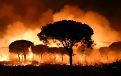 Arde mi Andalucía