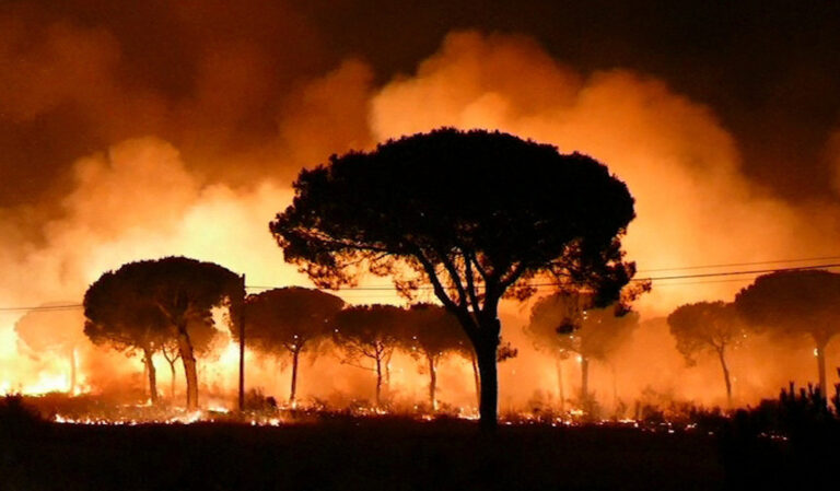 Arde mi Andalucía
