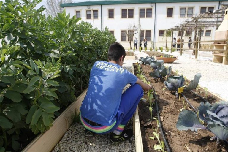 El ayuntamiento de Córdoba realizará a través de empresas de inserción al menos el 4% de los contratos
