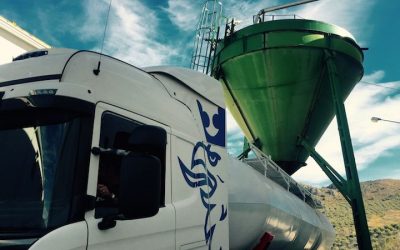 Tres grandes países controlan las exportaciones de aceite de oliva andaluz