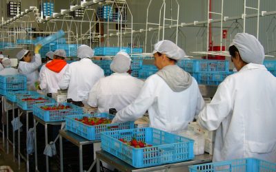 Mujer y empleo en Andalucía