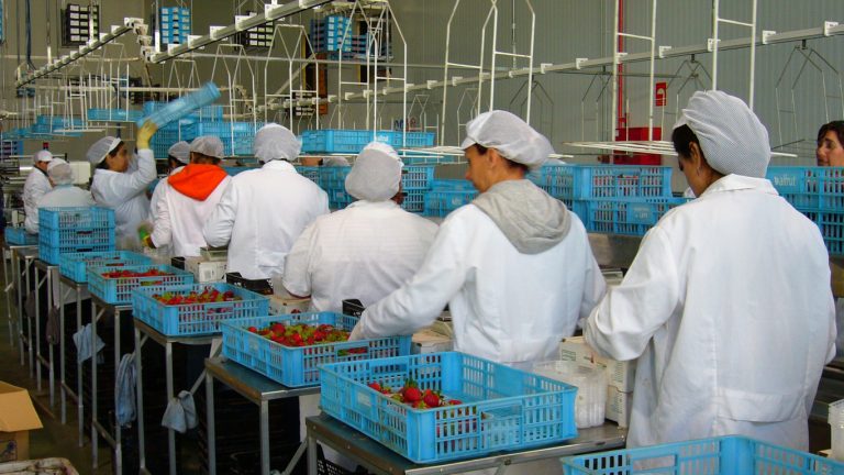 Mujer y empleo en Andalucía