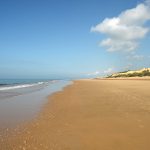 image_4766