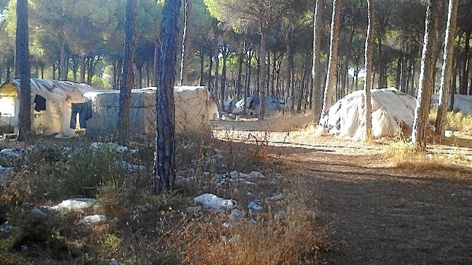 L@s Jornaler@s chabolistas de la fresa de Huelva