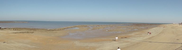 Los corrales marinos de la costa gaditana: memoria, paisaje, retos
