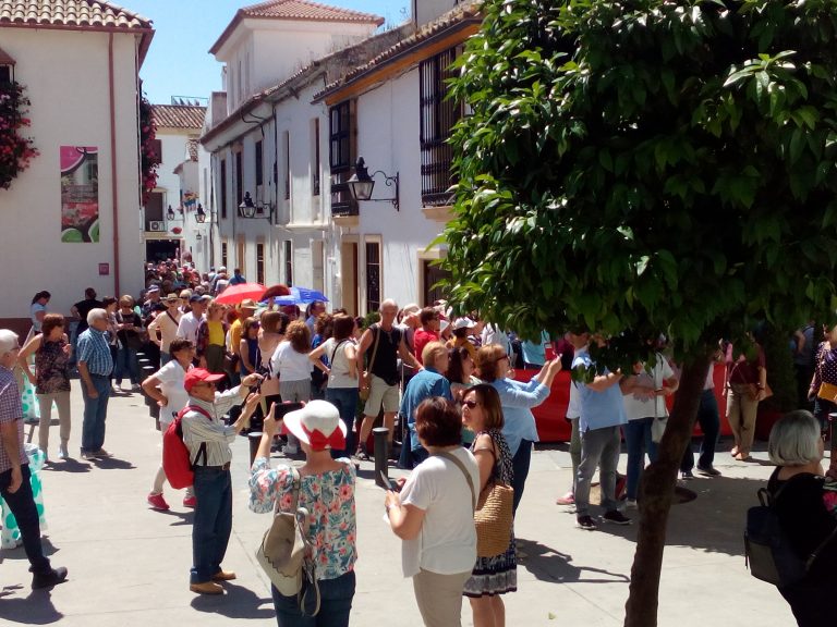 ¿Vamos de patios?