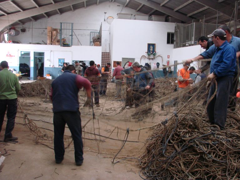 Las almadrabas gaditanas, espejo de la historia social y económica andaluza