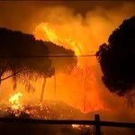 FOTO portada ART. CHAVELA CERVANTES. Doñana-incendio-junio-2017-Foto-@ecologistas