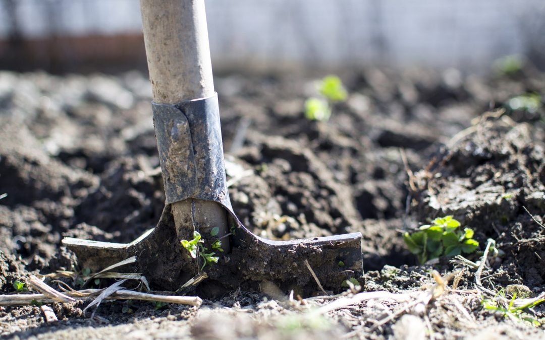 Un nuevo ciclo de articulaciones agroalimentarias: ampliando la propuesta agroecológica