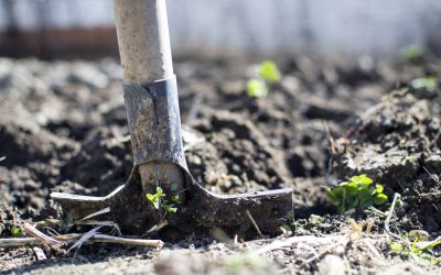 Un nuevo ciclo de articulaciones agroalimentarias: ampliando la propuesta agroecológica