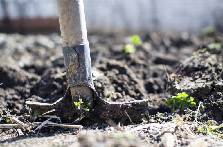 Un nuevo ciclo de articulaciones agroalimentarias: ampliando la propuesta agroecológica