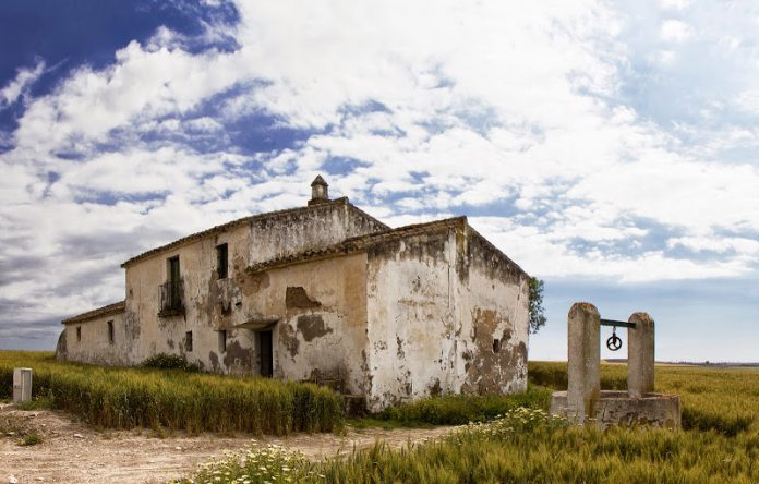 foto felix talego