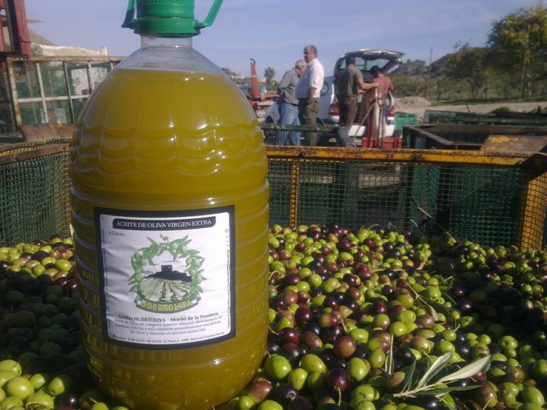Huertoliva: Economía social y reapropiación obrera de la riqueza