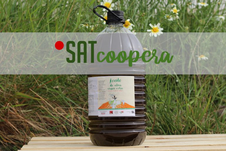 SATcoopera, un proyecto de intercooperación necesario para otra Andalucía