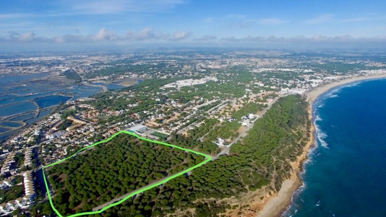 Emergencia climática: (In)acciones desde Andalucía