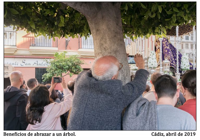 Beneficios de abrazar un árbol