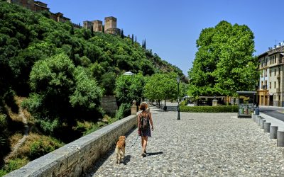 Granada insólita (11)