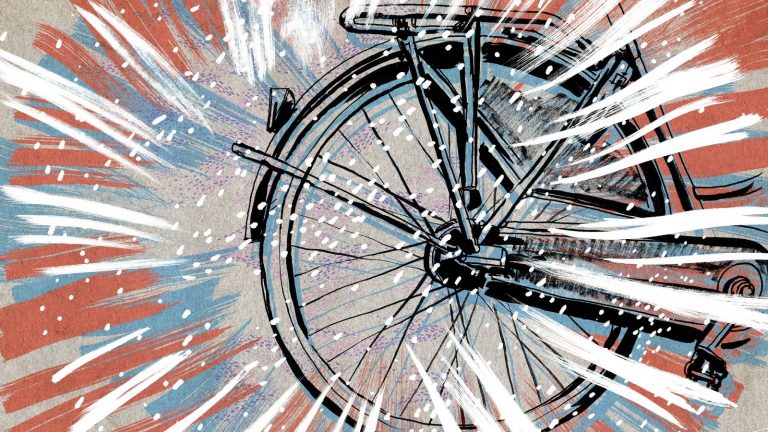 Organizaciones bicicleta