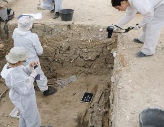 El ADN de la Memoria Histórica