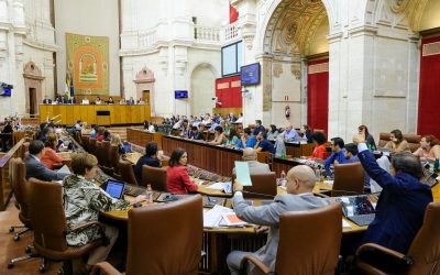 El mercado laboral refleja la debilidad institucional