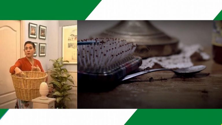 De marmotas y hormigas. Documental andaluz