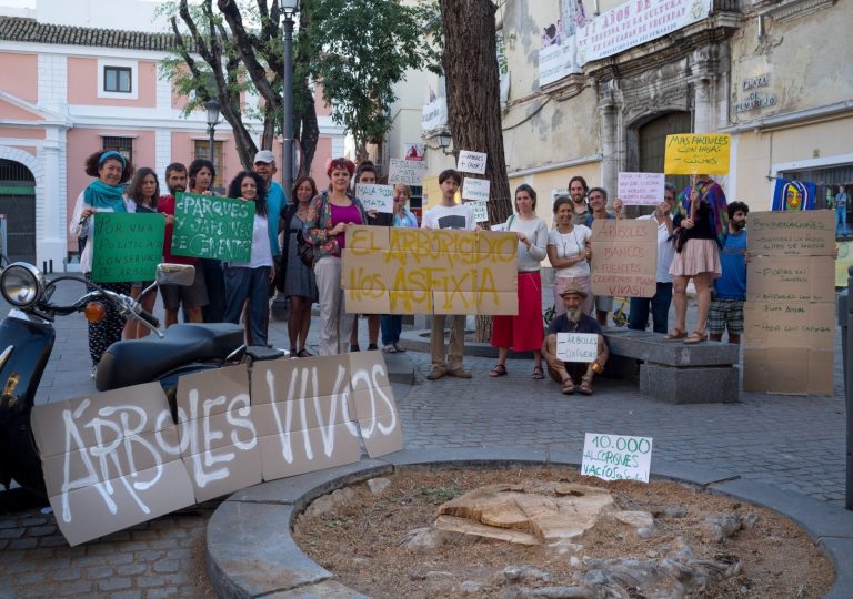 Los árboles y el derecho a la ciudad