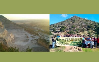 Si hay concienciación y acción colectiva, hay esperanza medioambiental
