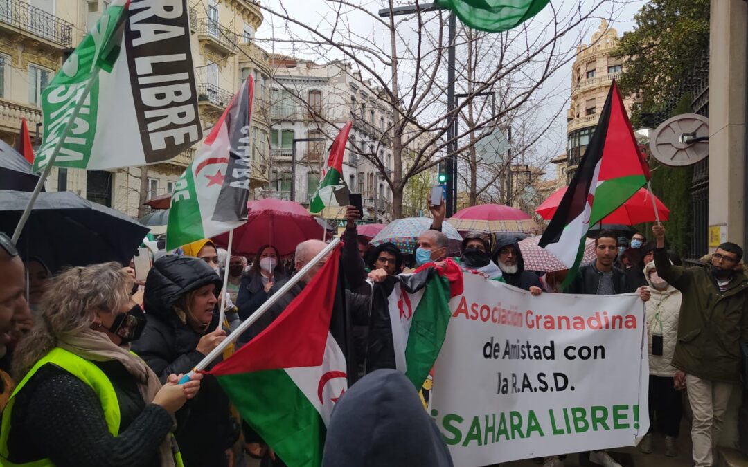 Carta abierta al pueblo saharaui