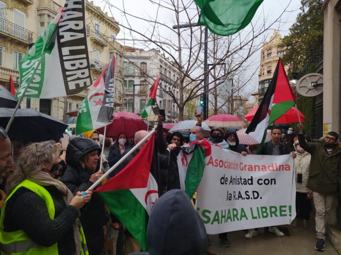 SAHARA foto 1