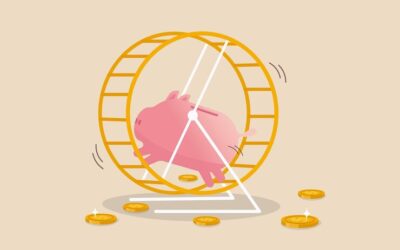Nuestra economía: el hámster