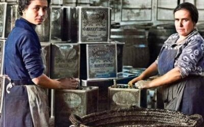La cultura del aceite y el cultivo del olivar en la historia de Andalucía