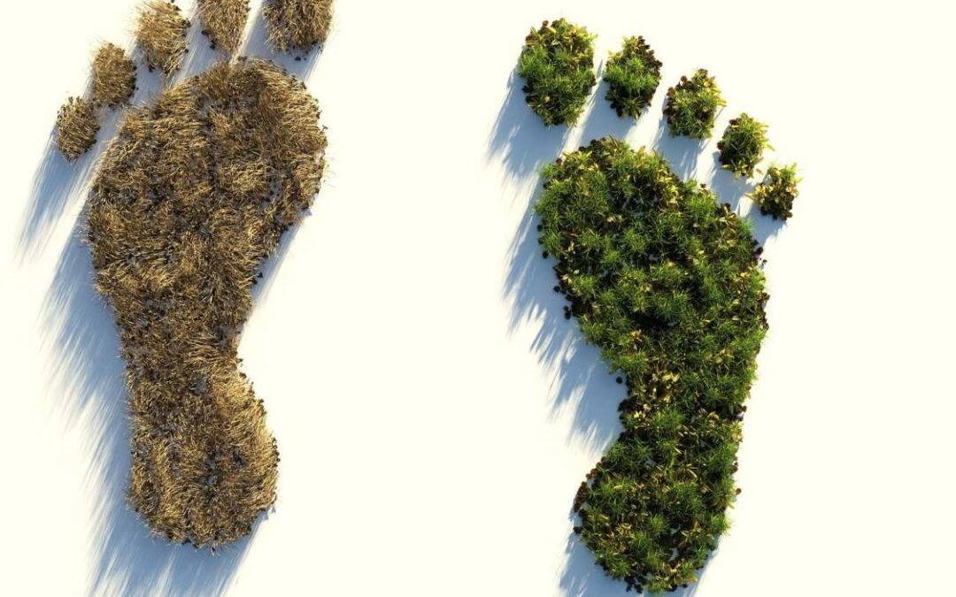 Sobre la huella ecológica, el nuevo gobierno y la sentencia de los ERE