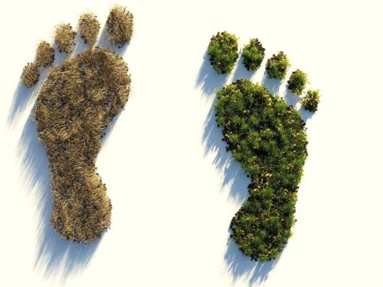 Sobre la huella ecológica, el nuevo gobierno y la sentencia de los ERE