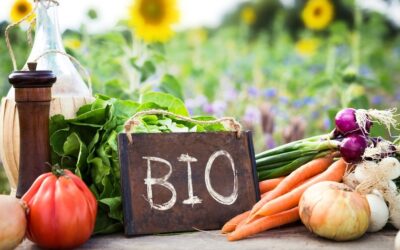 Las externalidades en el sector alimentario