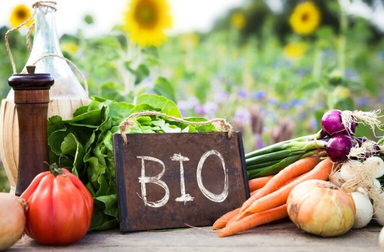 Las externalidades en el sector alimentario