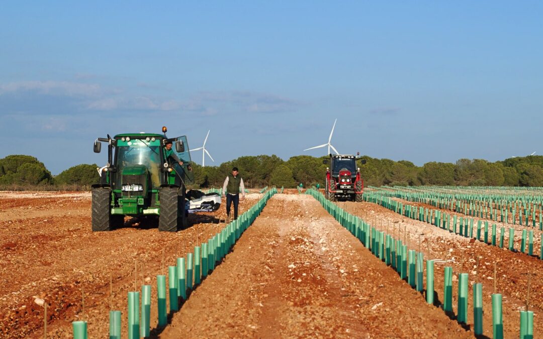 Los nuevos amos del campo andaluz