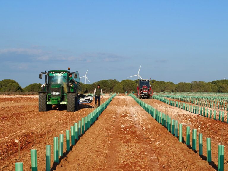 Los nuevos amos del campo andaluz