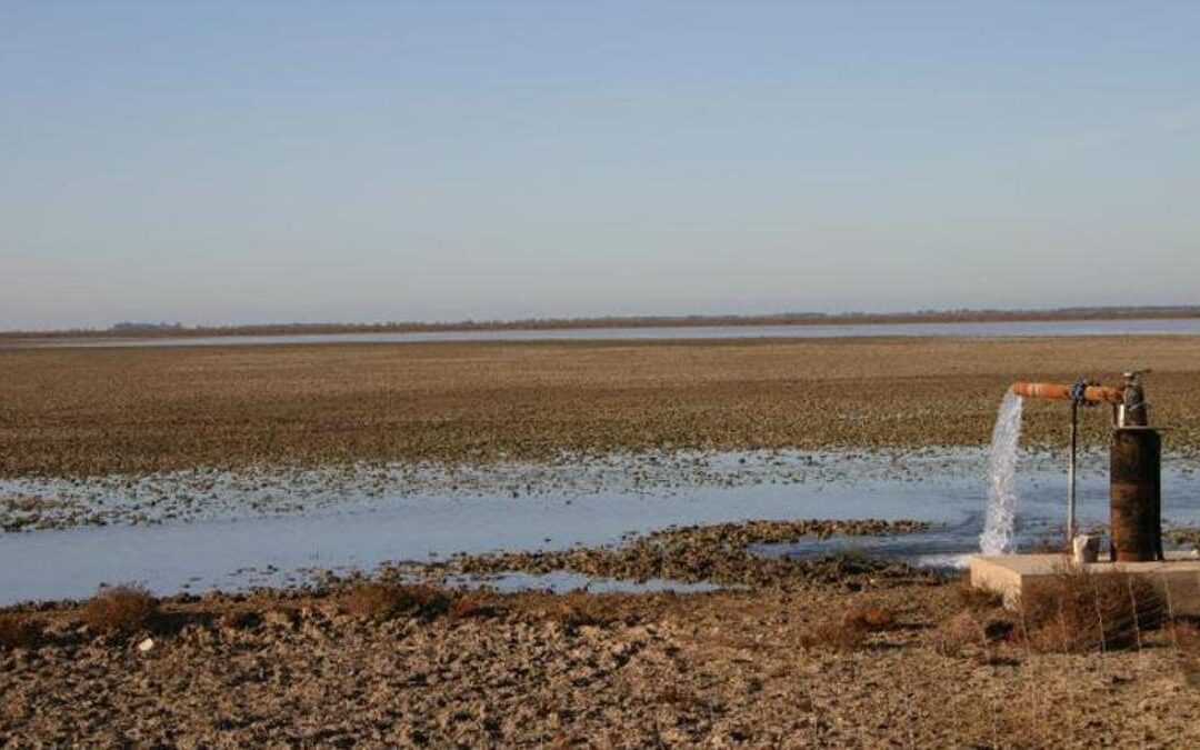 Fresas, agua y Doñana