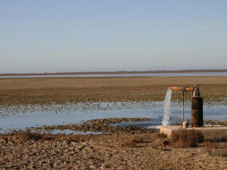 Fresas, agua y Doñana