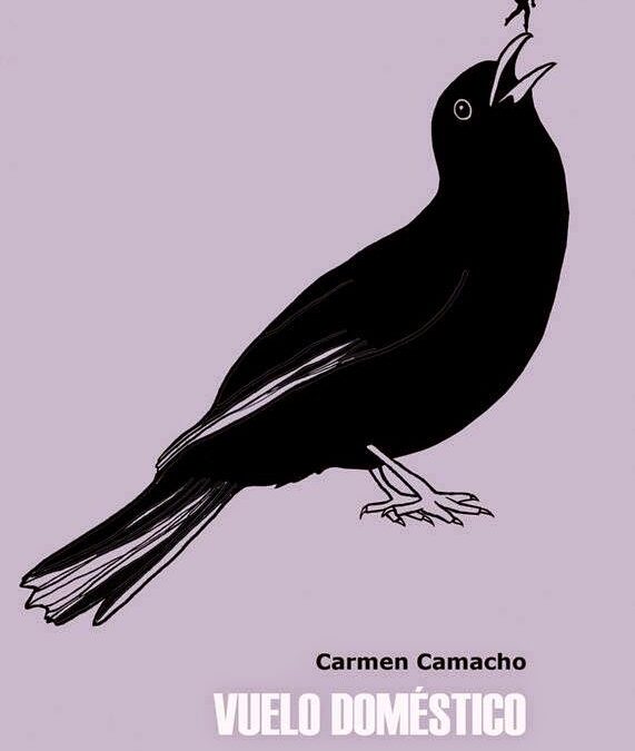 Lecturas y otras líneas de fuga