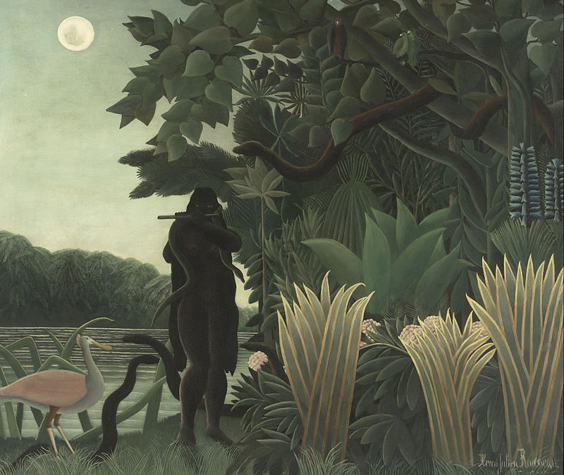 La Ilustración salvaje