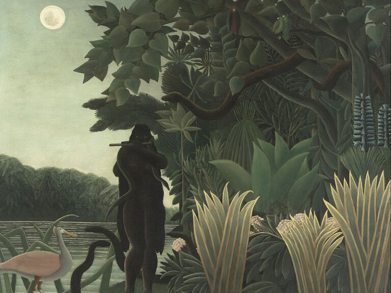 La Ilustración salvaje