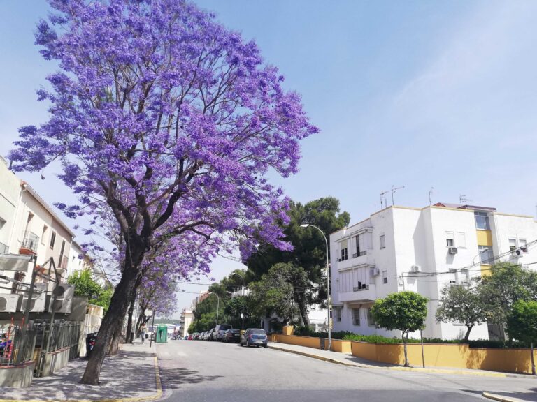 Menos milongas: tu “patria” detesta mi barrio