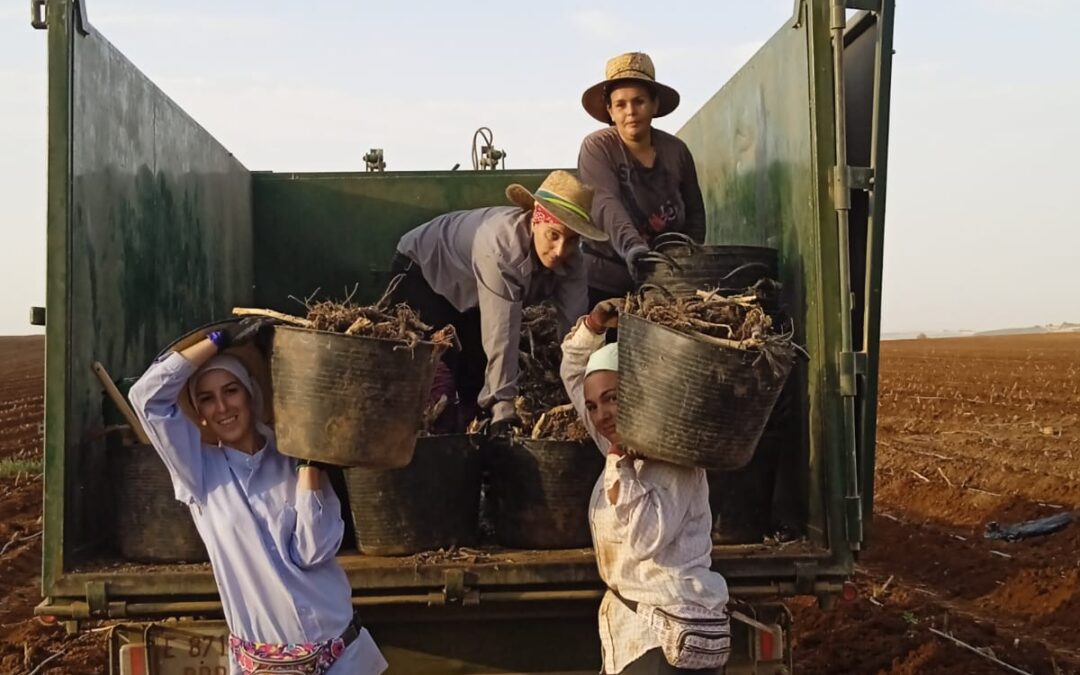 Por la propiedad pública de las tierras de Los Humosos y en defensa del modelo cooperativo de Marinaleda