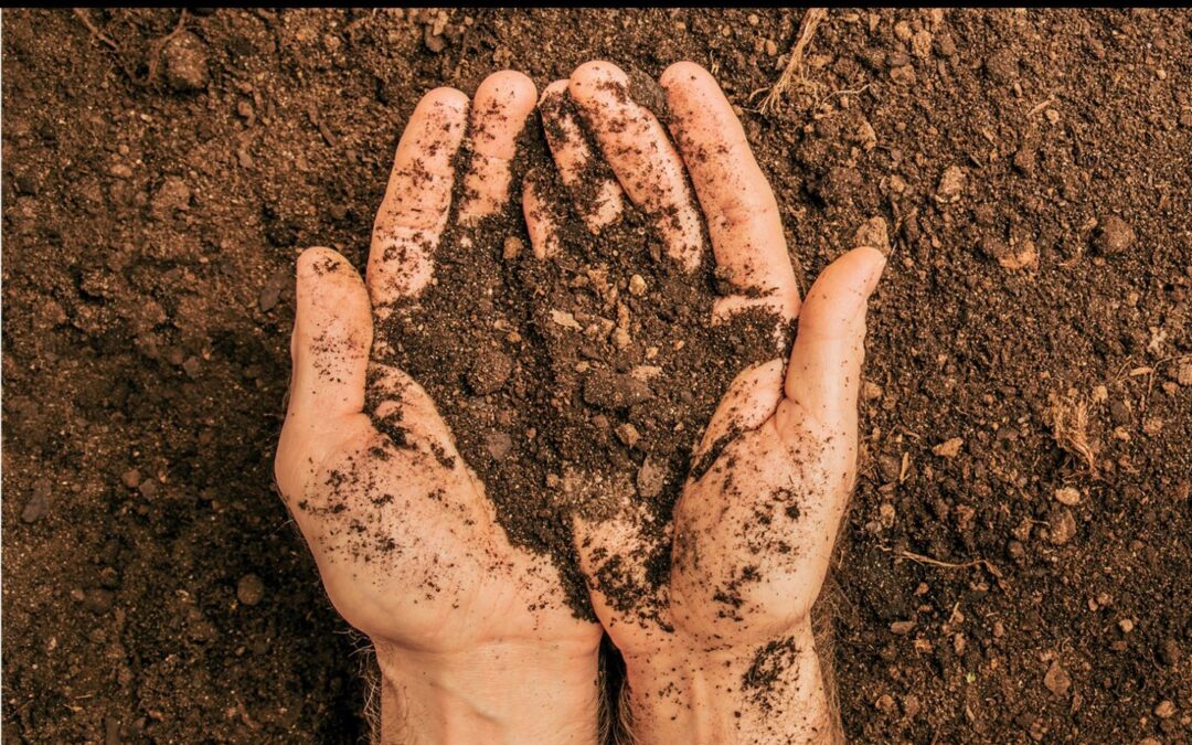 Agua y Sostenibilidad ante el Cambio Climático