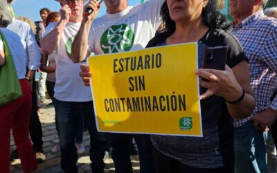 Revertir los vertidos de aguas de minas en el Guadalquivir, o deshacer el acuerdo fáustico entre las mineras y el gobierno andaluz