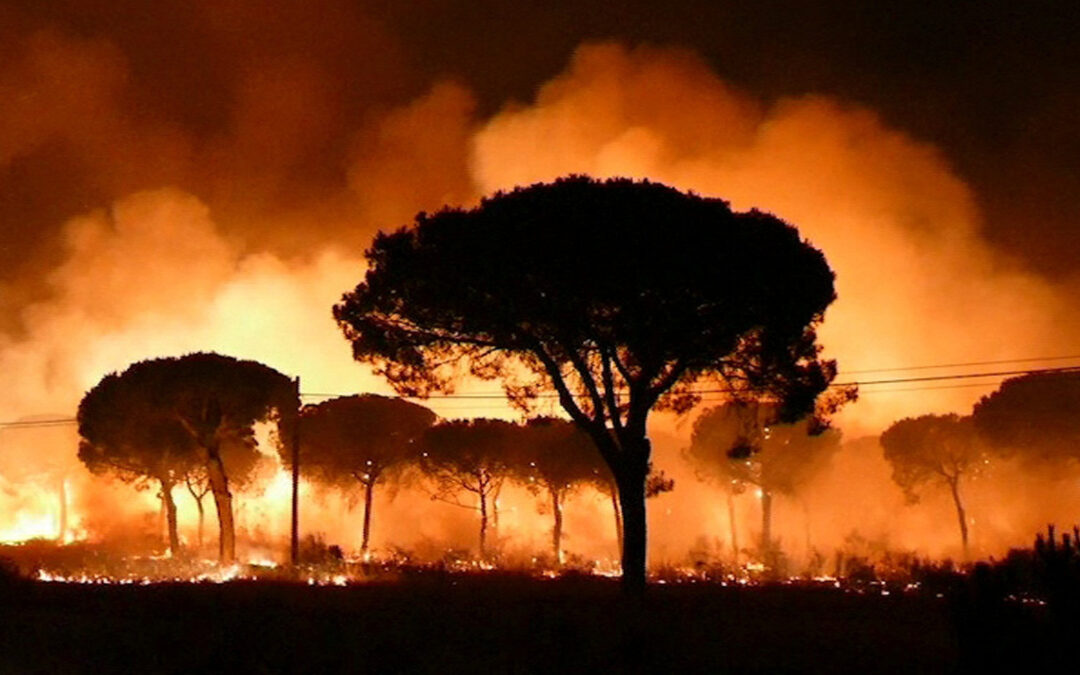 Arde mi Andalucía